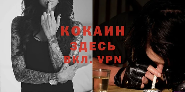 гашик Арсеньев