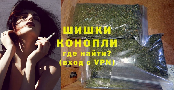 индика Баксан