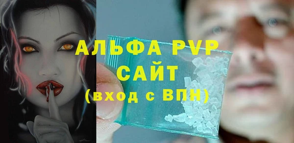 индика Баксан