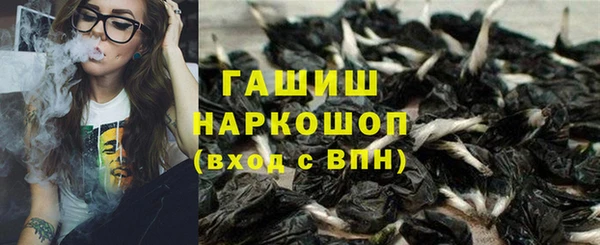 индика Баксан