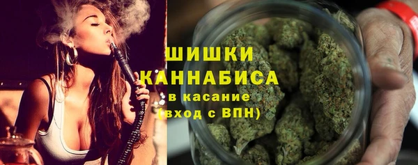 дживик Сосновоборск